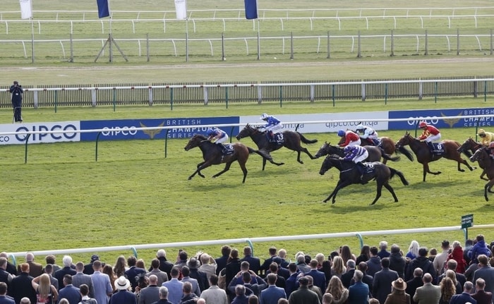 1000 guineas betting